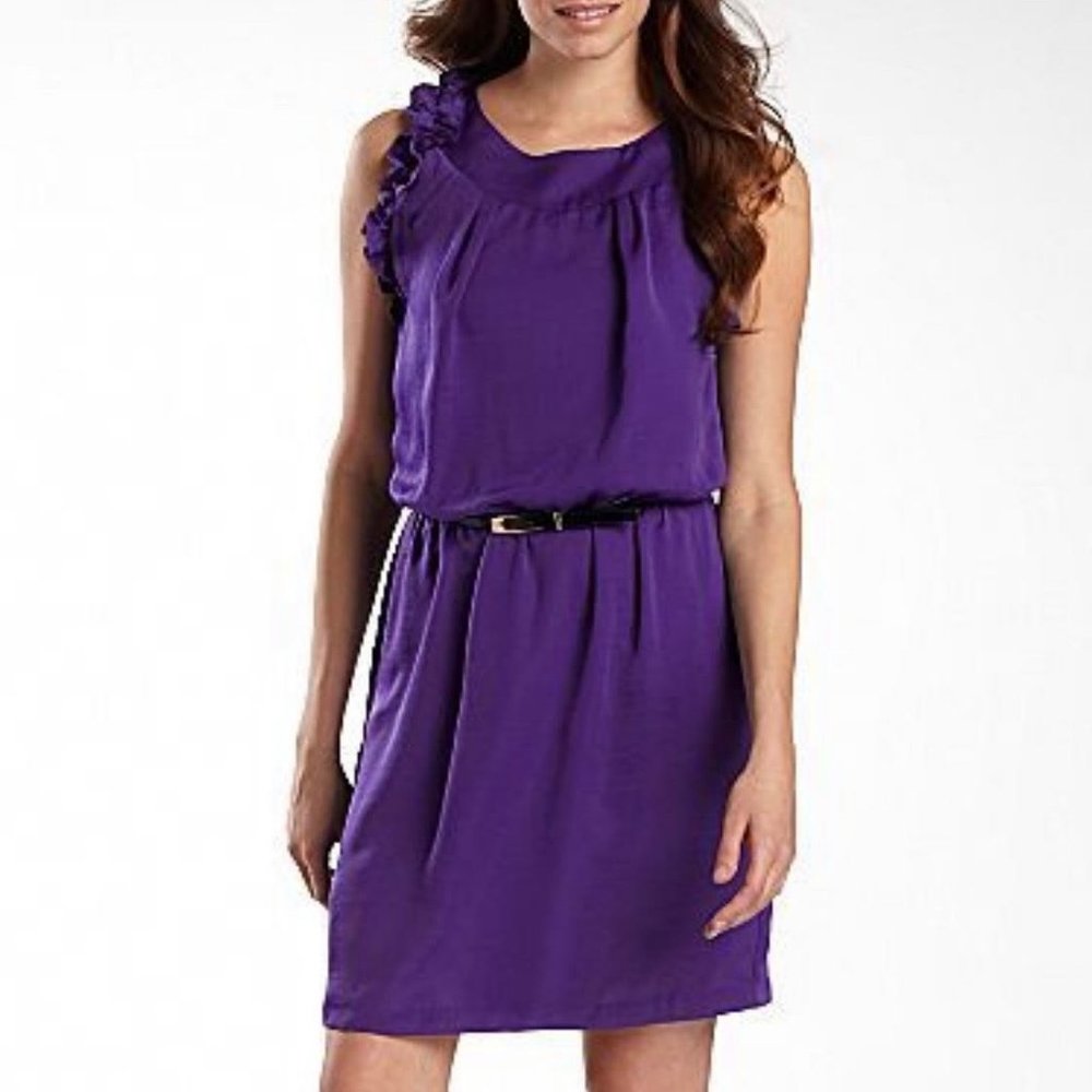 Bisou Bisou Royal Purple Dress